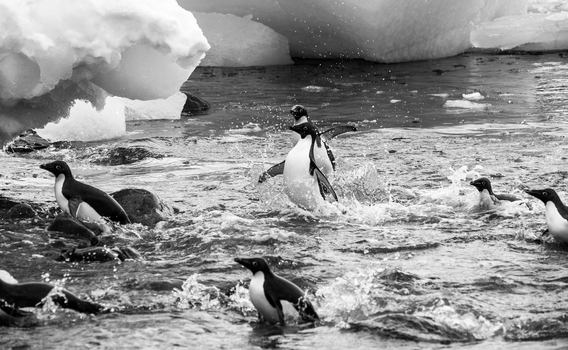 16 AI tools for VCs, startups to get more productive at work