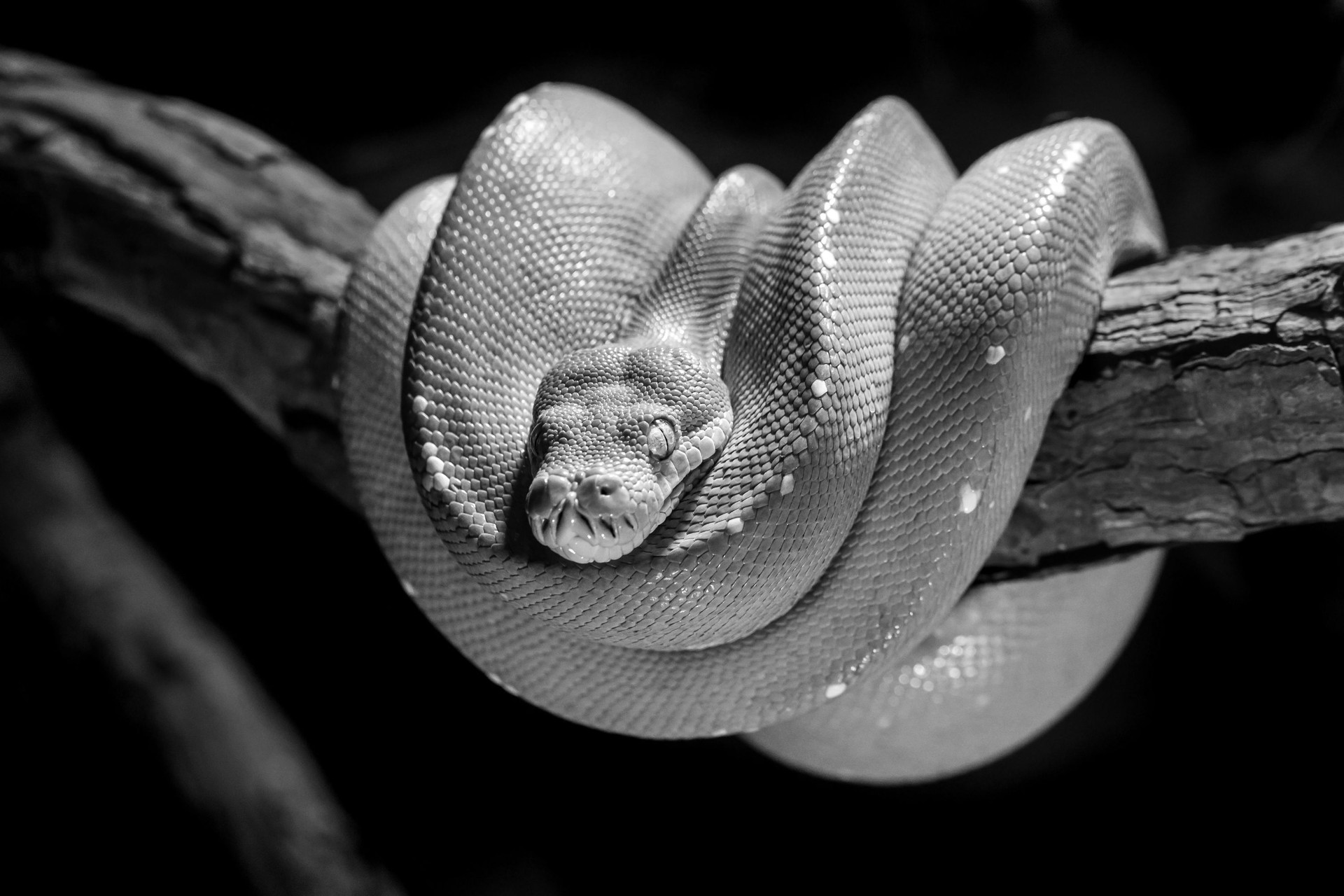 Liki24.com: 4 tips for startups scaling into Europe from Ukraine